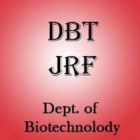 DBT JRF 2020